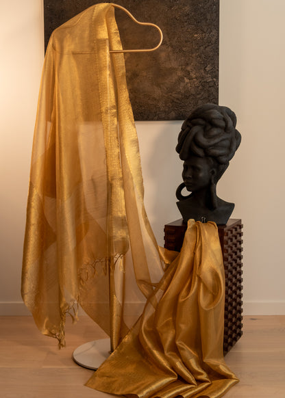 Gold Tissue Silk Saree