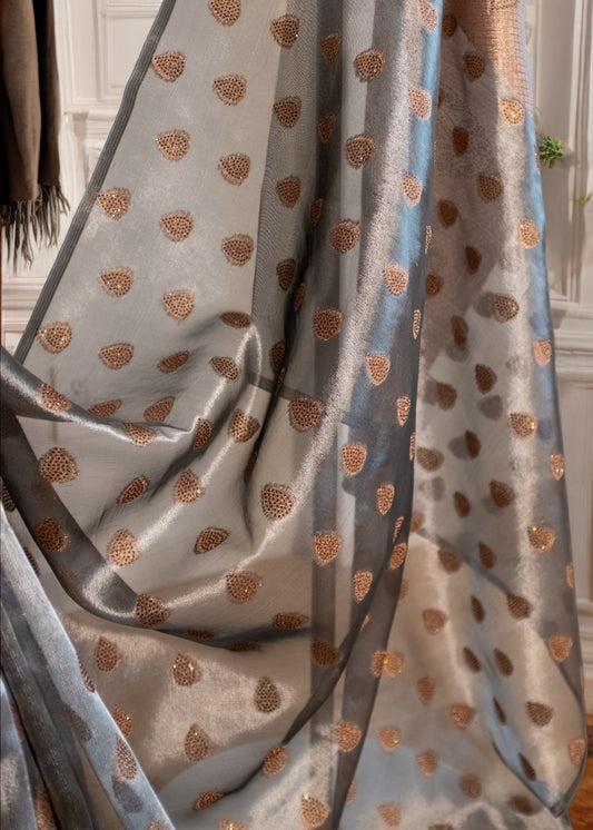 Grey and Gold Glass Tissue Saree