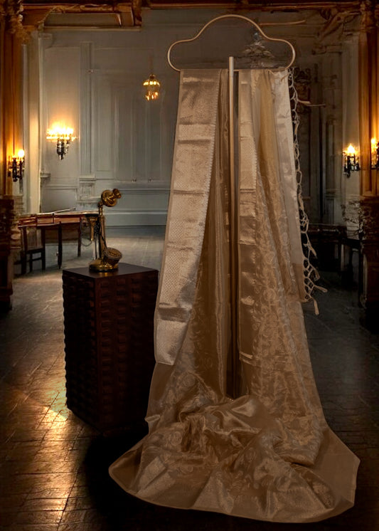 Chikankari Tissue Silk Saree