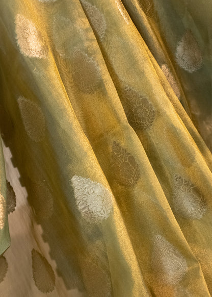 Yellowish Green Banarasi Tissue Saree