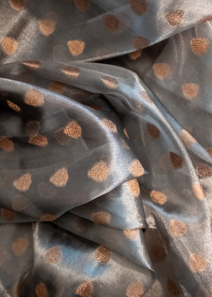 Grey and Gold Glass Tissue Saree