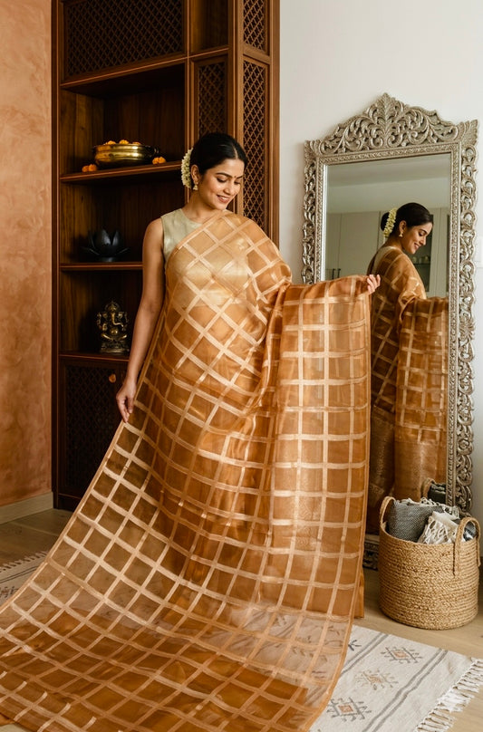 Copper Banarasi Glass Tissue Saree