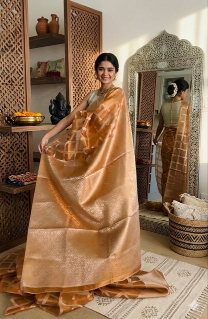 Copper Banarasi Glass Tissue Saree