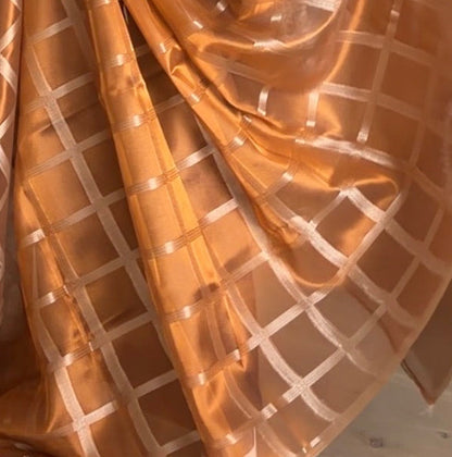 Copper Banarasi Glass Tissue Saree